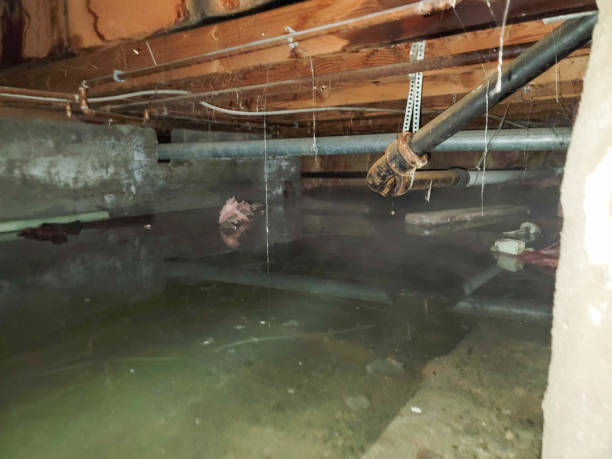 Best Water damage restoration near me  in Wrightsboro, NC