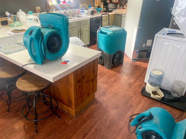 Best Local water damage restoration  in Wrightsboro, NC