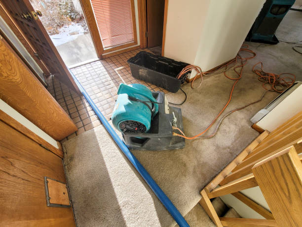 Best Sewage cleanup and water damage restoration  in Wrightsboro, NC