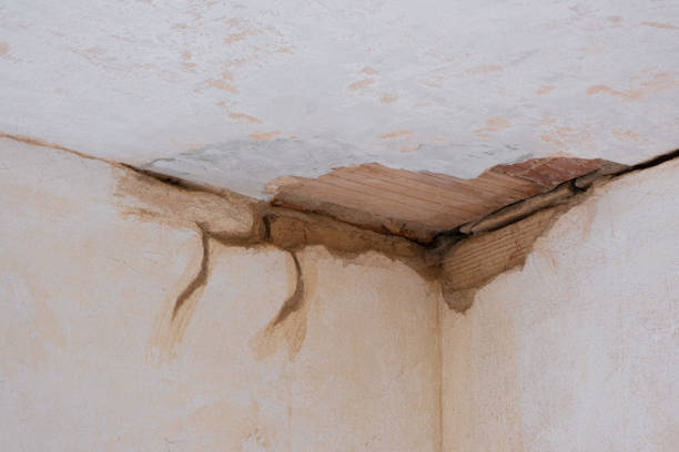 Best Sewage cleanup and water damage restoration  in Wrightsboro, NC