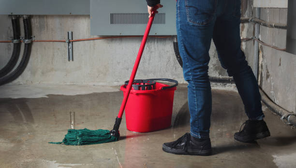 Best Water damage restoration experts  in Wrightsboro, NC