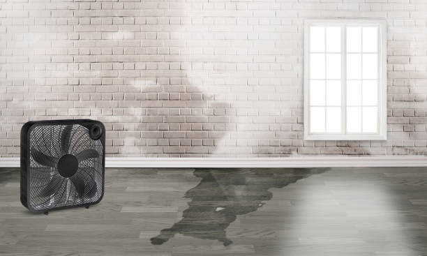 Best Water damage repair service  in Wrightsboro, NC