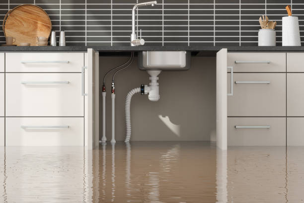 Best Flooded house restoration  in Wrightsboro, NC