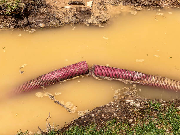 Best Water damage restoration services  in Wrightsboro, NC